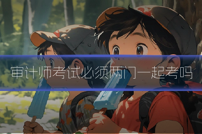 审计师考试必须两门一起考吗