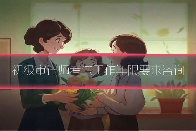 初级审计师考试工作年限要求咨询