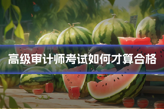 高级审计师考试如何才算合格