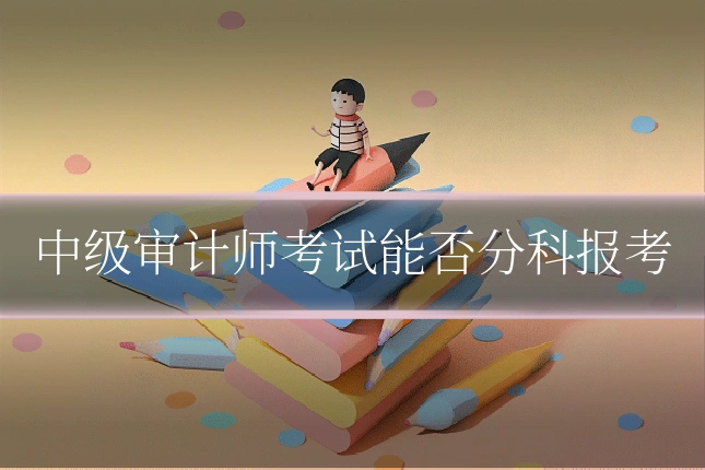 中级审计师考试能否分科报考