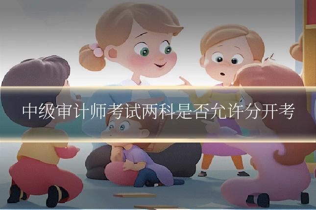 中级审计师考试两科是否允许分开考