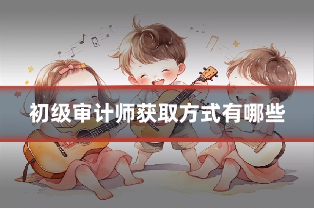 初级审计师获取方式有哪些