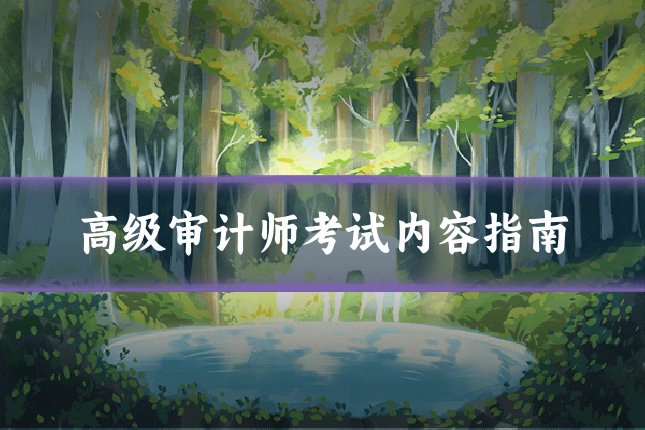 高级审计师考试内容指南