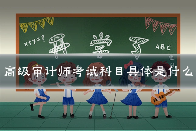 高级审计师考试科目具体是什么