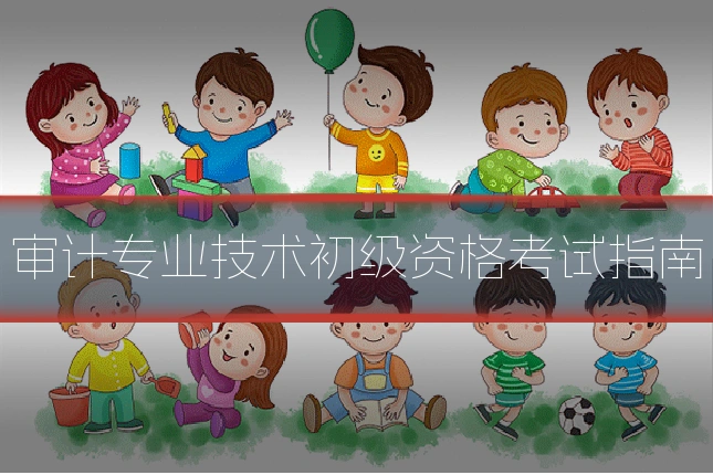 审计专业技术初级资格考试指南