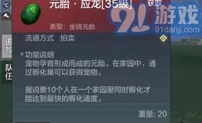 妄想山海应龙捕捉与养成策略指南