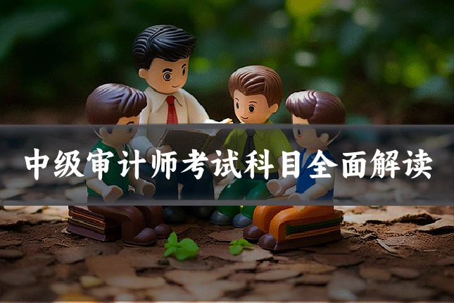 中级审计师考试科目全面解读