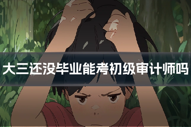 大三还没毕业能考初级审计师吗