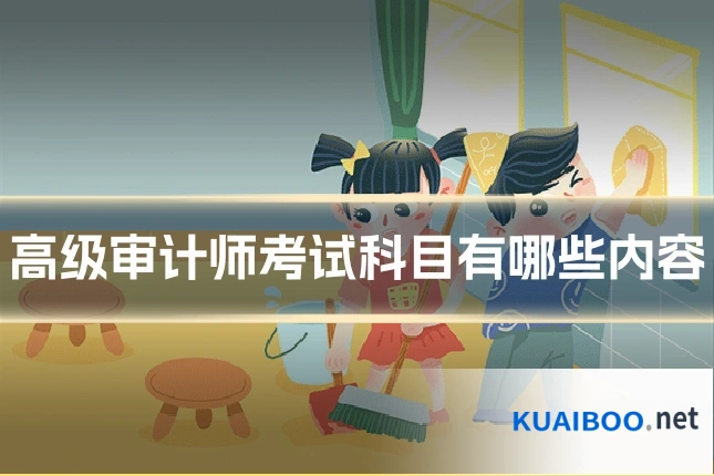 高级审计师考试科目有哪些内容