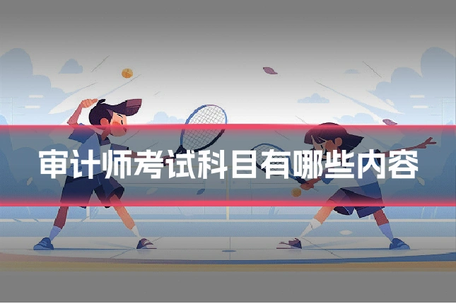 审计师考试科目有哪些内容