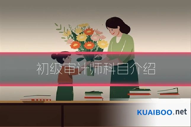 初级审计师科目介绍