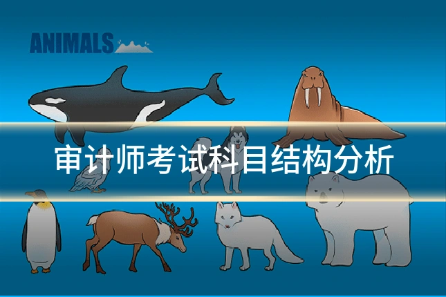 审计师考试科目结构分析