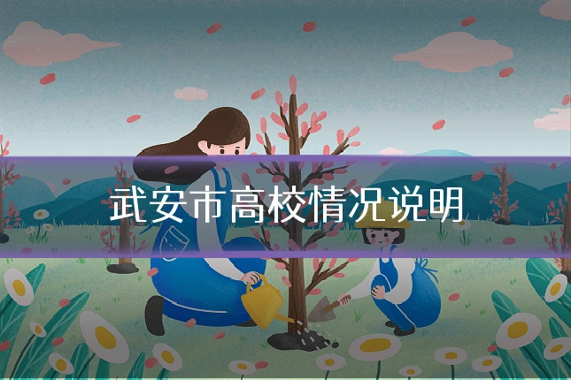 武安市高校情况说明