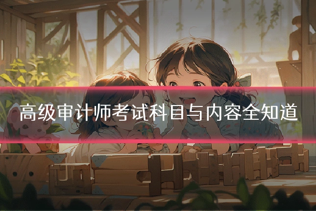 高级审计师考试科目与内容全知道