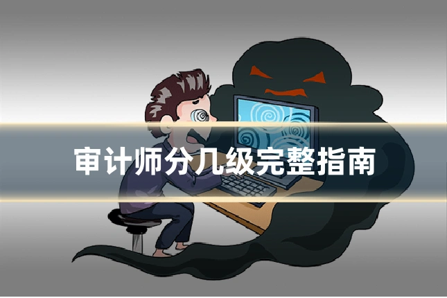 审计师分几级完整指南