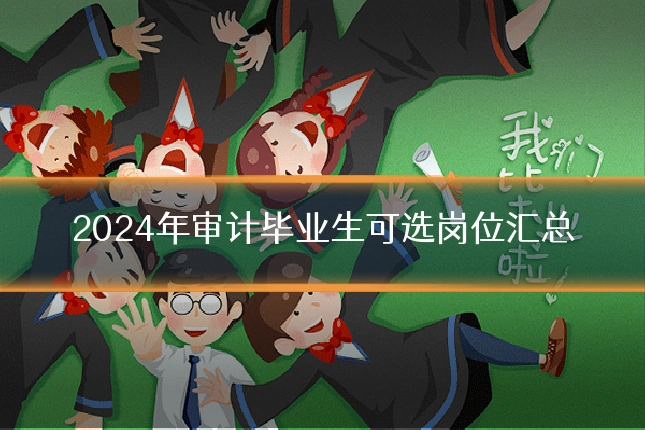 2024年审计毕业生可选岗位汇总