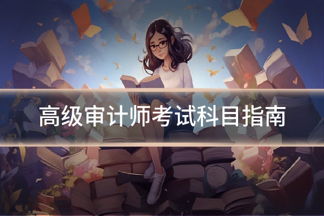 高级审计师考试科目指南