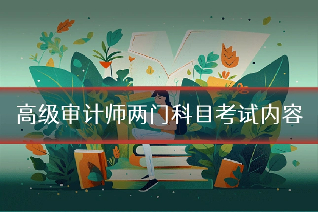 高级审计师两门科目考试内容