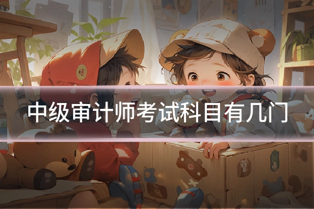 中级审计师考试科目有几门