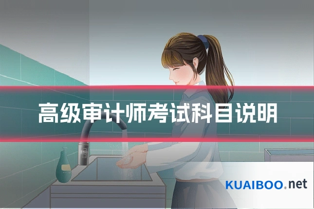 高级审计师考试科目说明