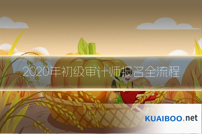 2020年初级审计师报名全流程