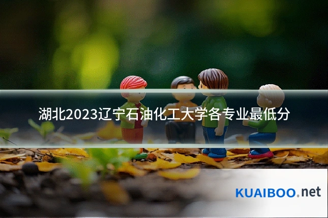 湖北2023辽宁石油化工大学各专业最低分