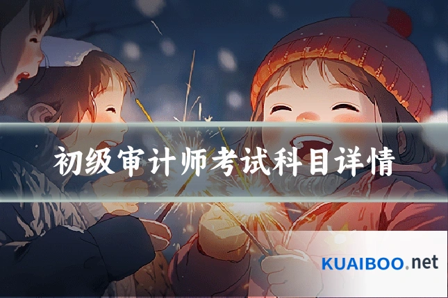 初级审计师考试科目详情