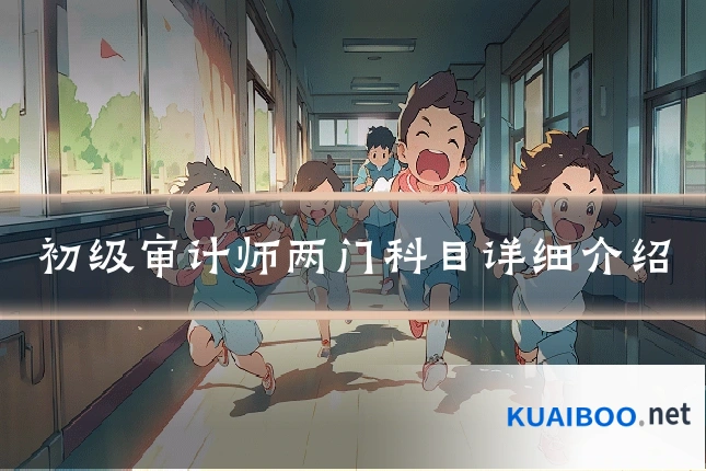 初级审计师两门科目详细介绍