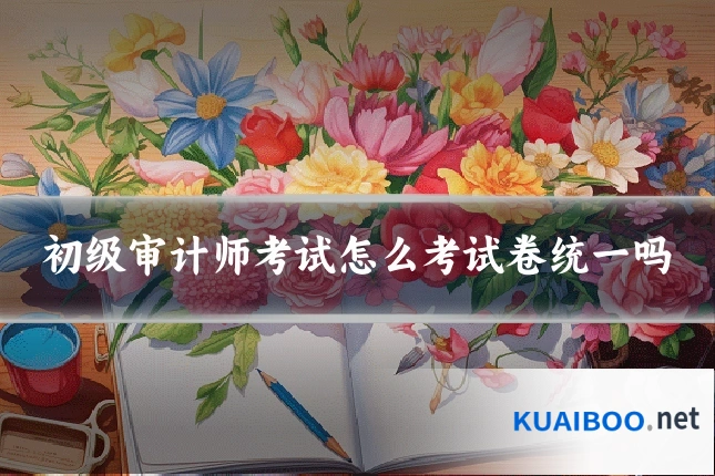 初级审计师考试怎么考试卷统一吗