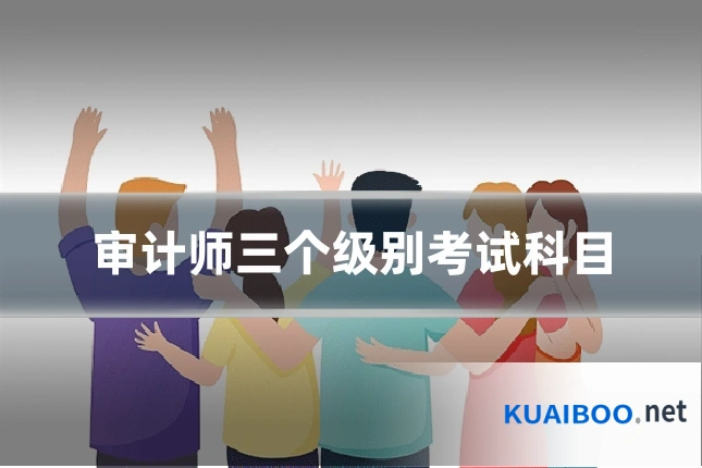 审计师三个级别考试科目