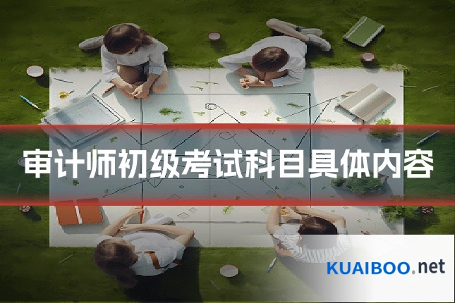 审计师初级考试科目具体内容