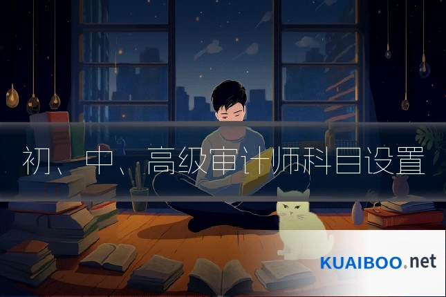 初、中、高级审计师科目设置