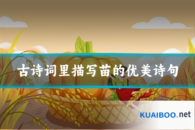 古诗词里描写苗的优美诗句