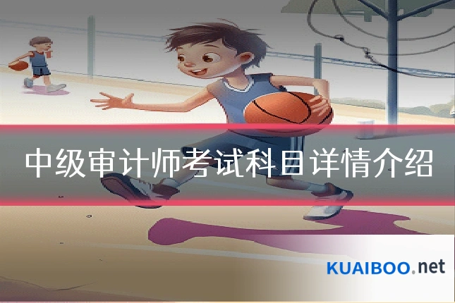 中级审计师考试科目详情介绍