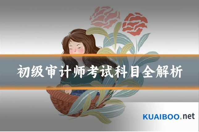 初级审计师考试科目全解析