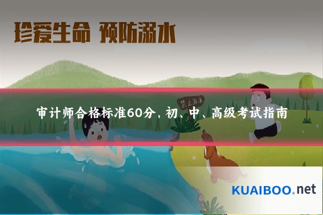 审计师合格标准60分，初、中、高级考试指南