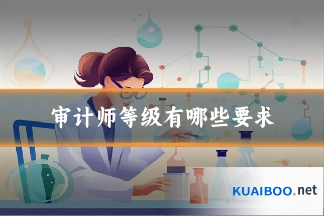 审计师等级有哪些要求