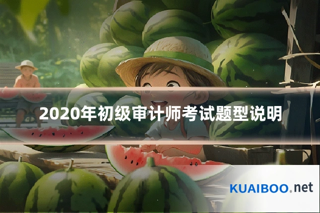 2020年初级审计师考试题型说明