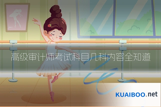 高级审计师考试科目几科内容全知道