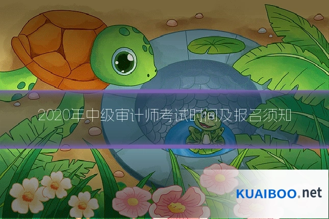 2020年中级审计师考试时间及报名须知