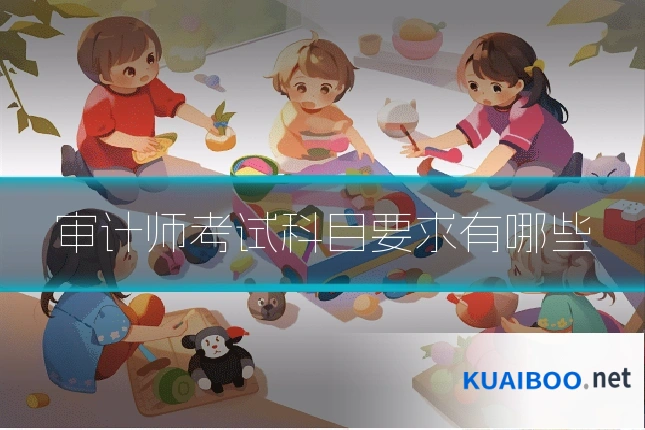 审计师考试科目要求有哪些