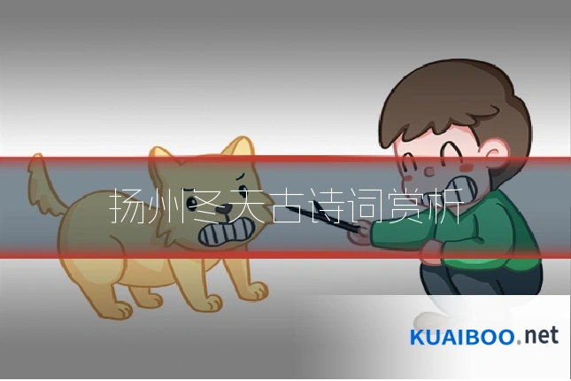 扬州冬天古诗词赏析