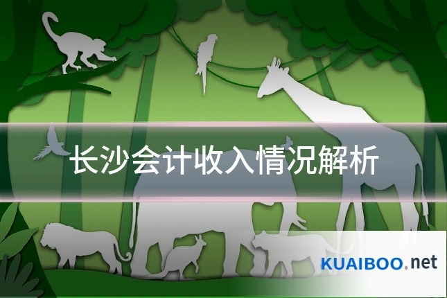 长沙会计收入情况解析