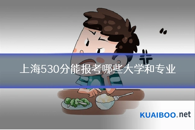 上海530分能报考哪些大学和专业
