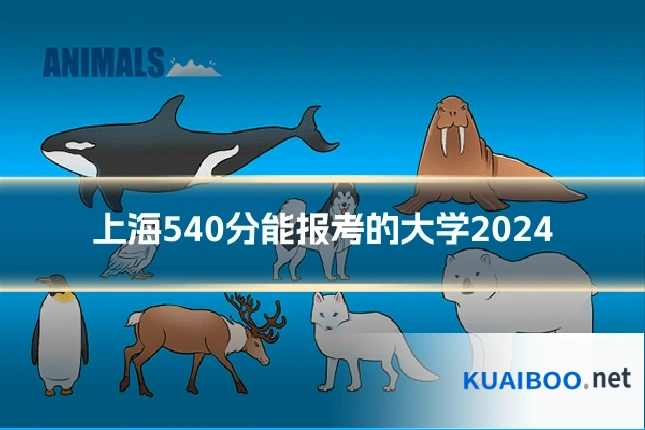 上海540分能报考的大学2024