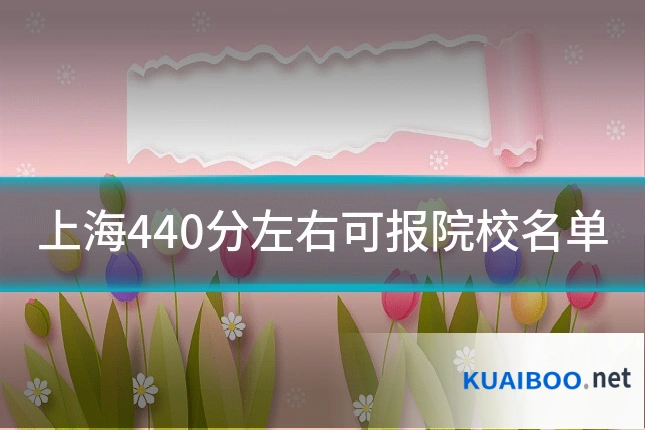 上海440分左右可报院校名单