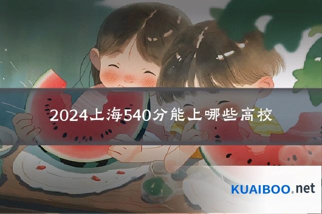 2024上海540分能上哪些高校