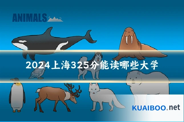 2024上海325分能读哪些大学