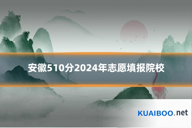 安徽510分2024年志愿填报院校