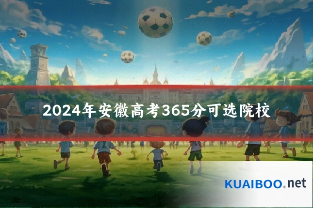 2024年安徽高考365分可选院校